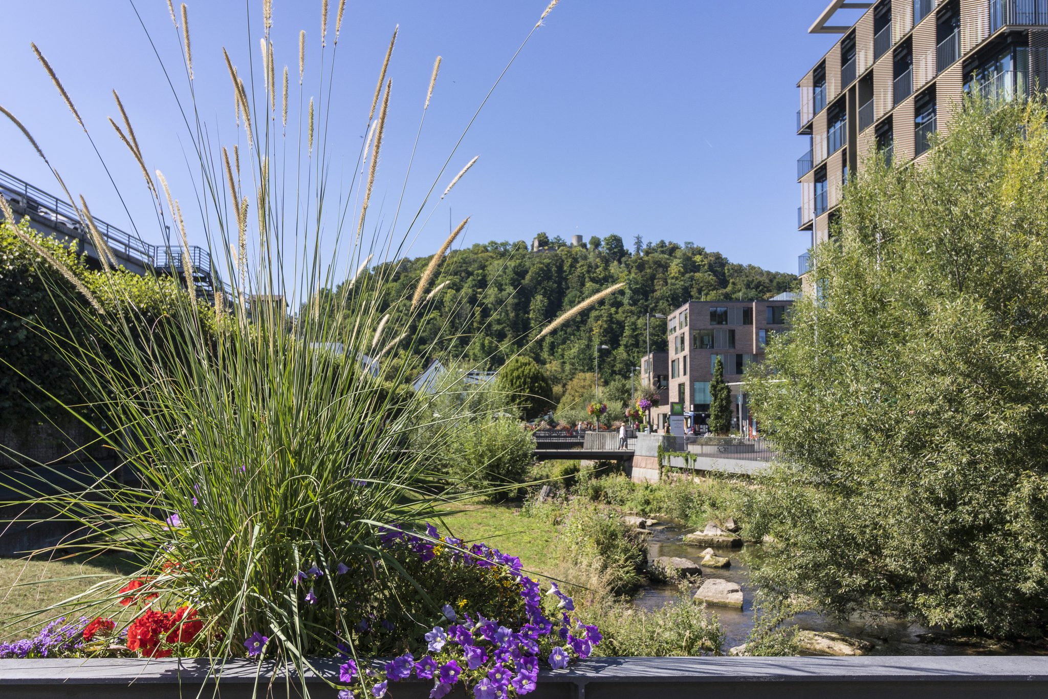 ibis styles hotel nagold schwarzwald