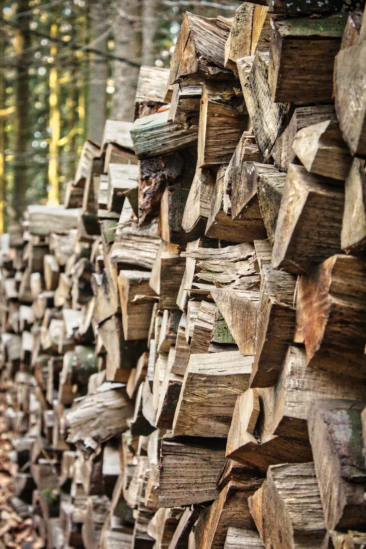 schwarzwald-Holz Wandern